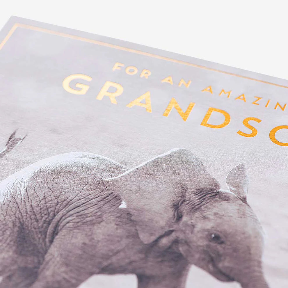 Adorable baby elephant greeting card perfect for grandson birthday wishes