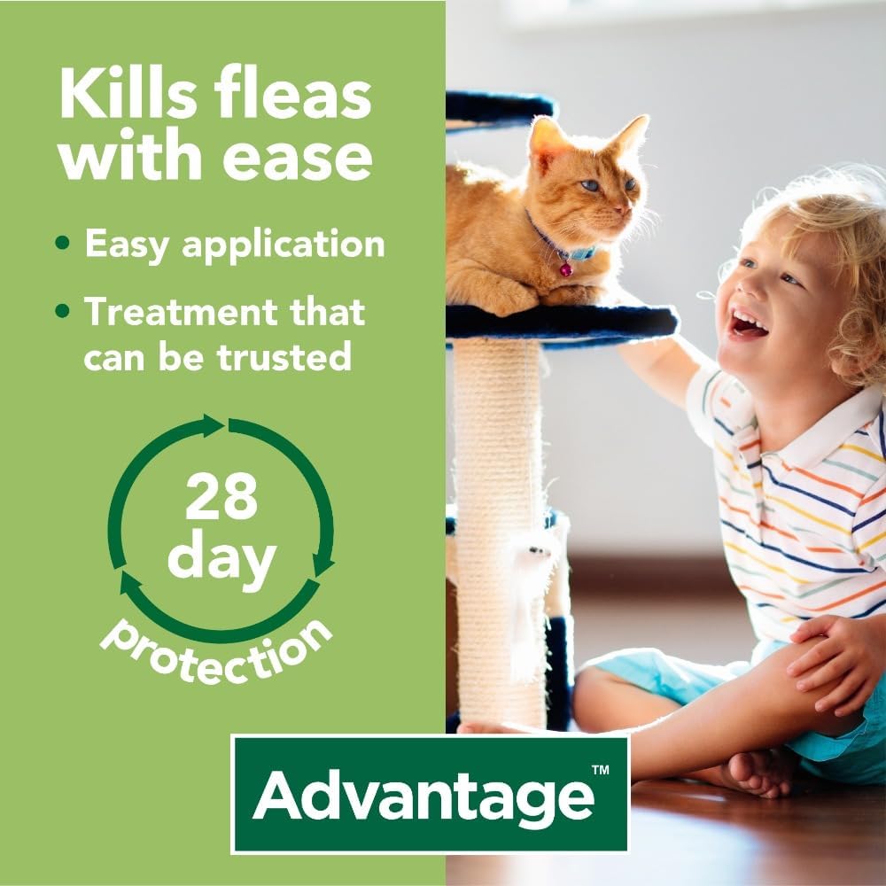 advantage flea treatment 4 pack for pets