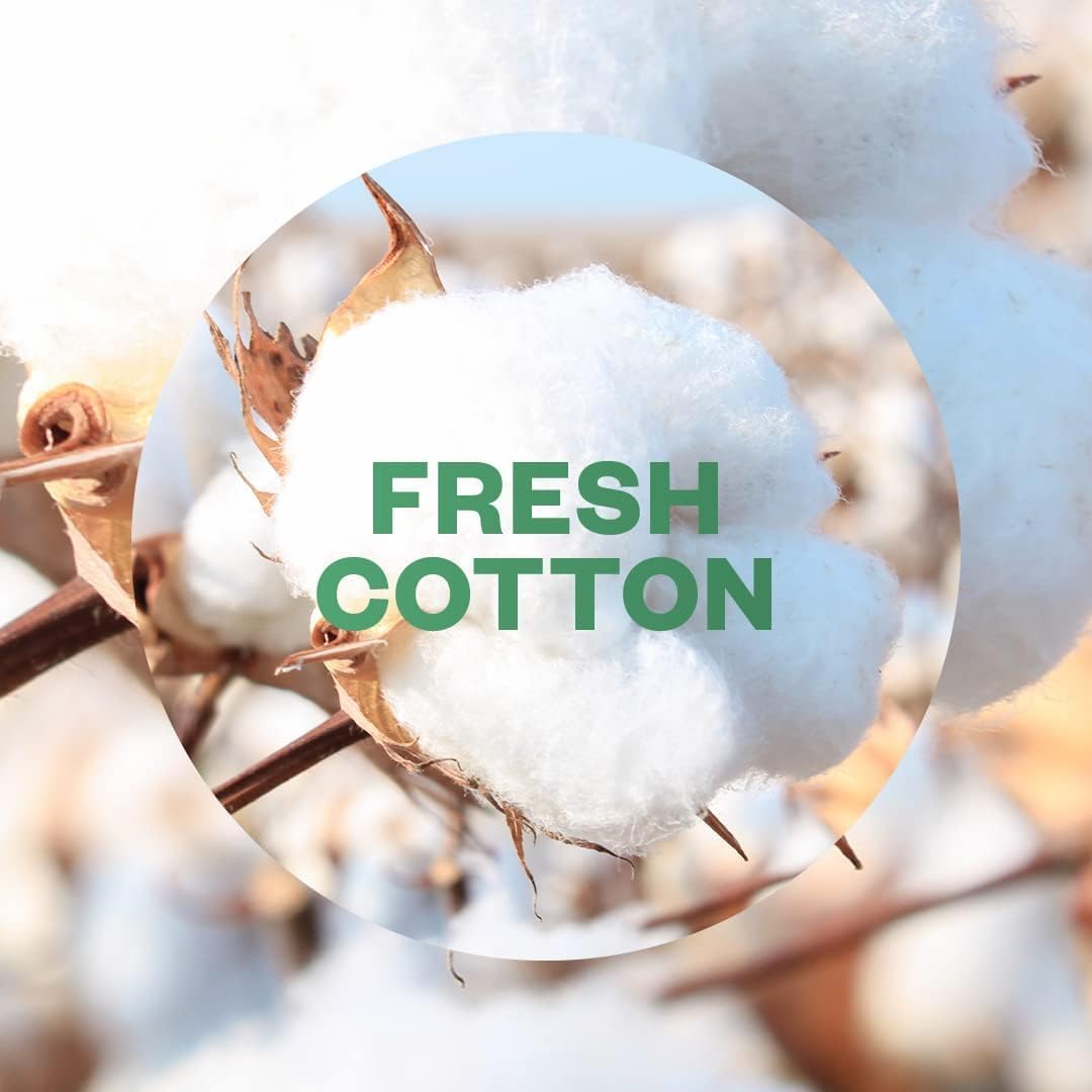 Airwick Automatic Air Freshener Kit with Fresh Cotton Scent and Refill (228ml)