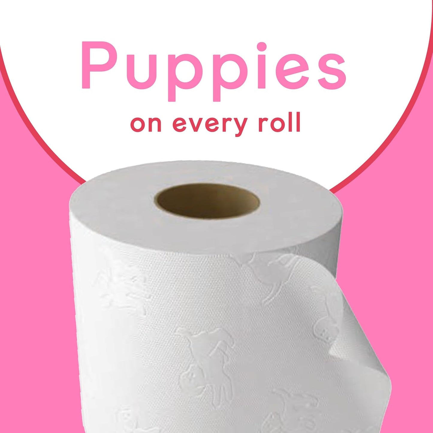 Open box of Andrex Family Soft toilet rolls arranged for display