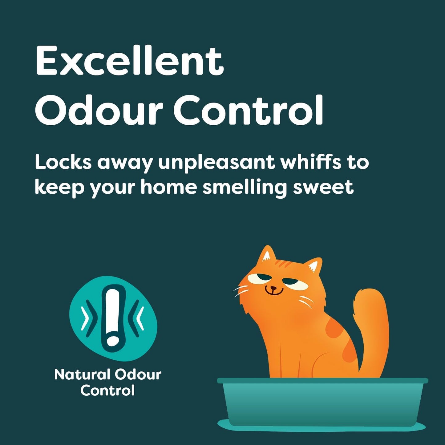 natural non clumping litter for cats and kittens