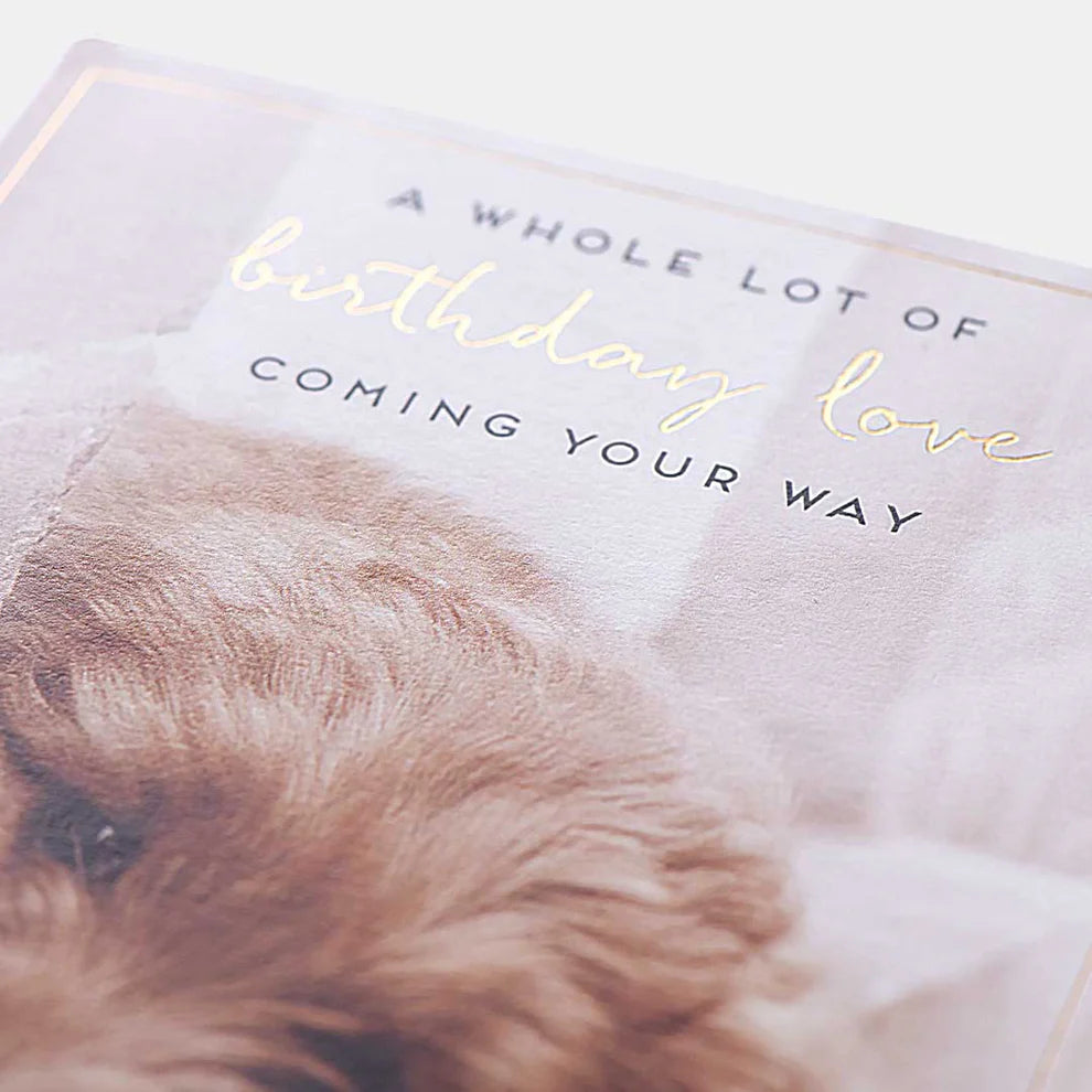 Birthday card showcasing adorable puppy artwork, ideal for dog lovers and special occasions