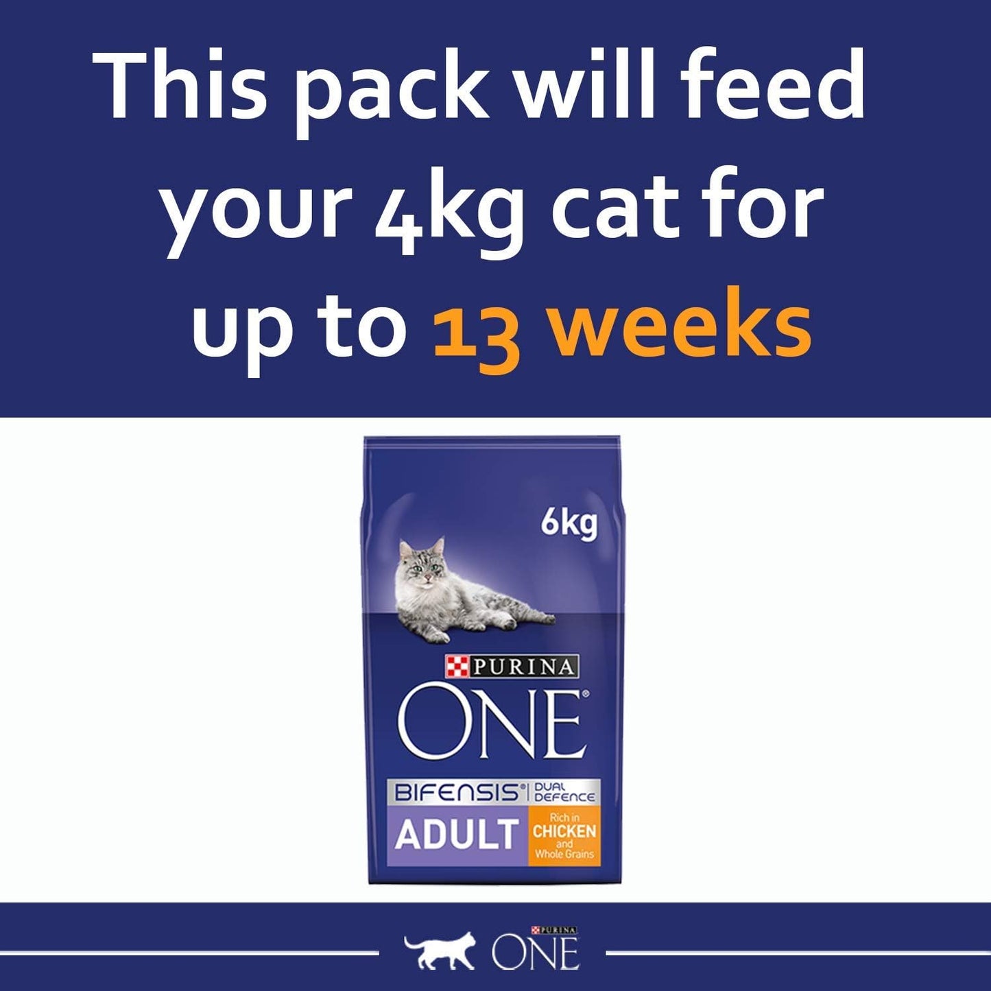 balanced dry food for adult cats purina one