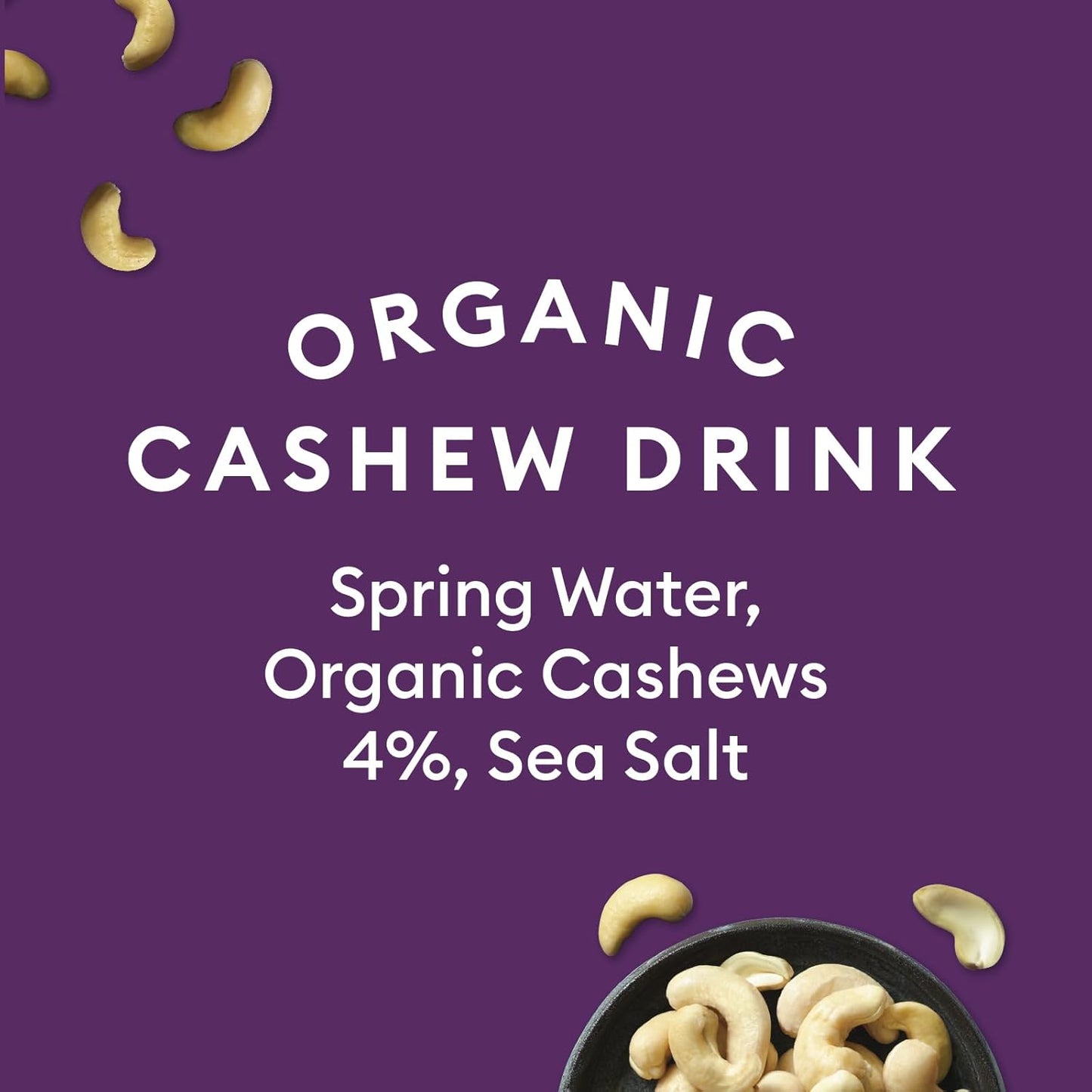 clean label plant based milk with sea salt