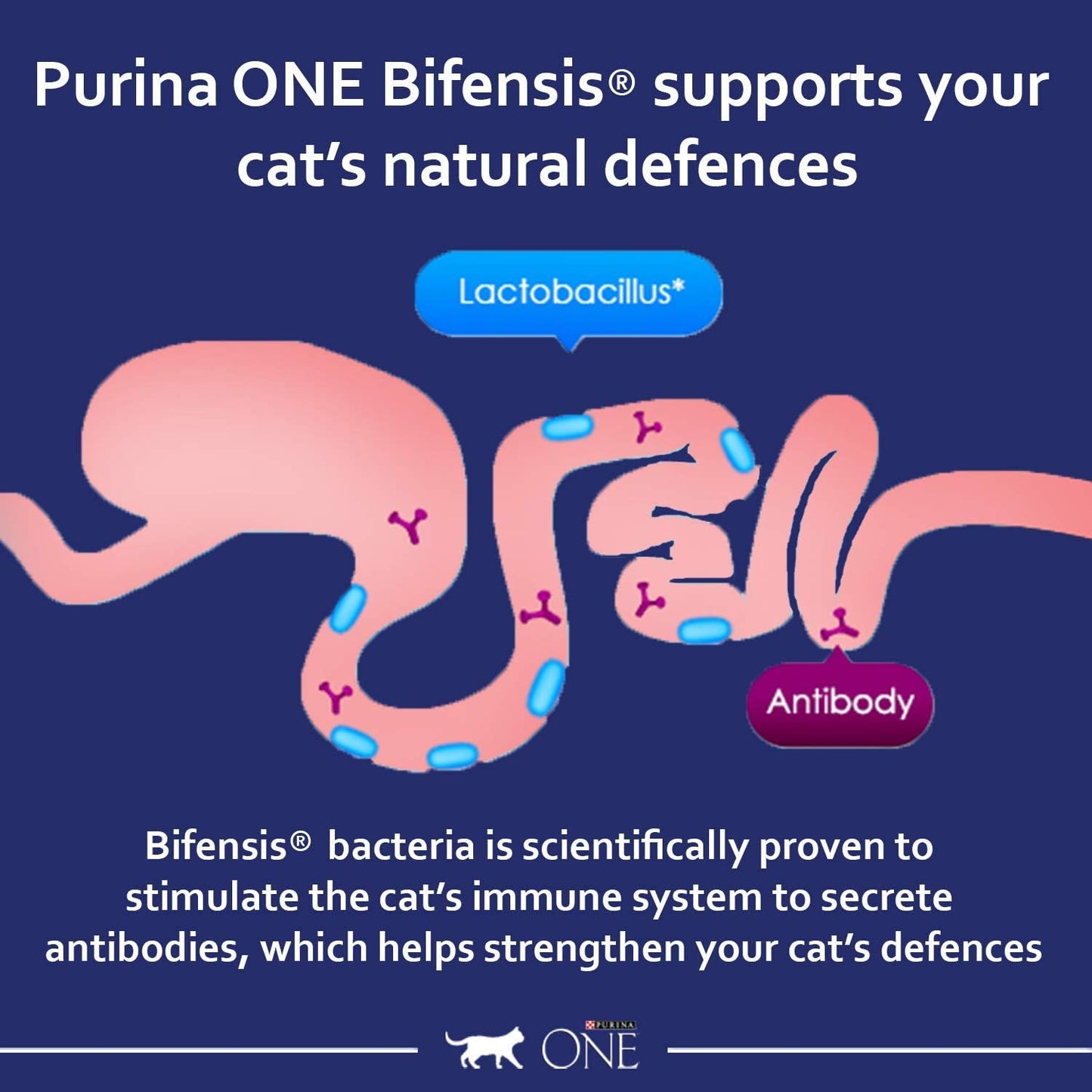 purina chicken cat food with prebiotics and minerals