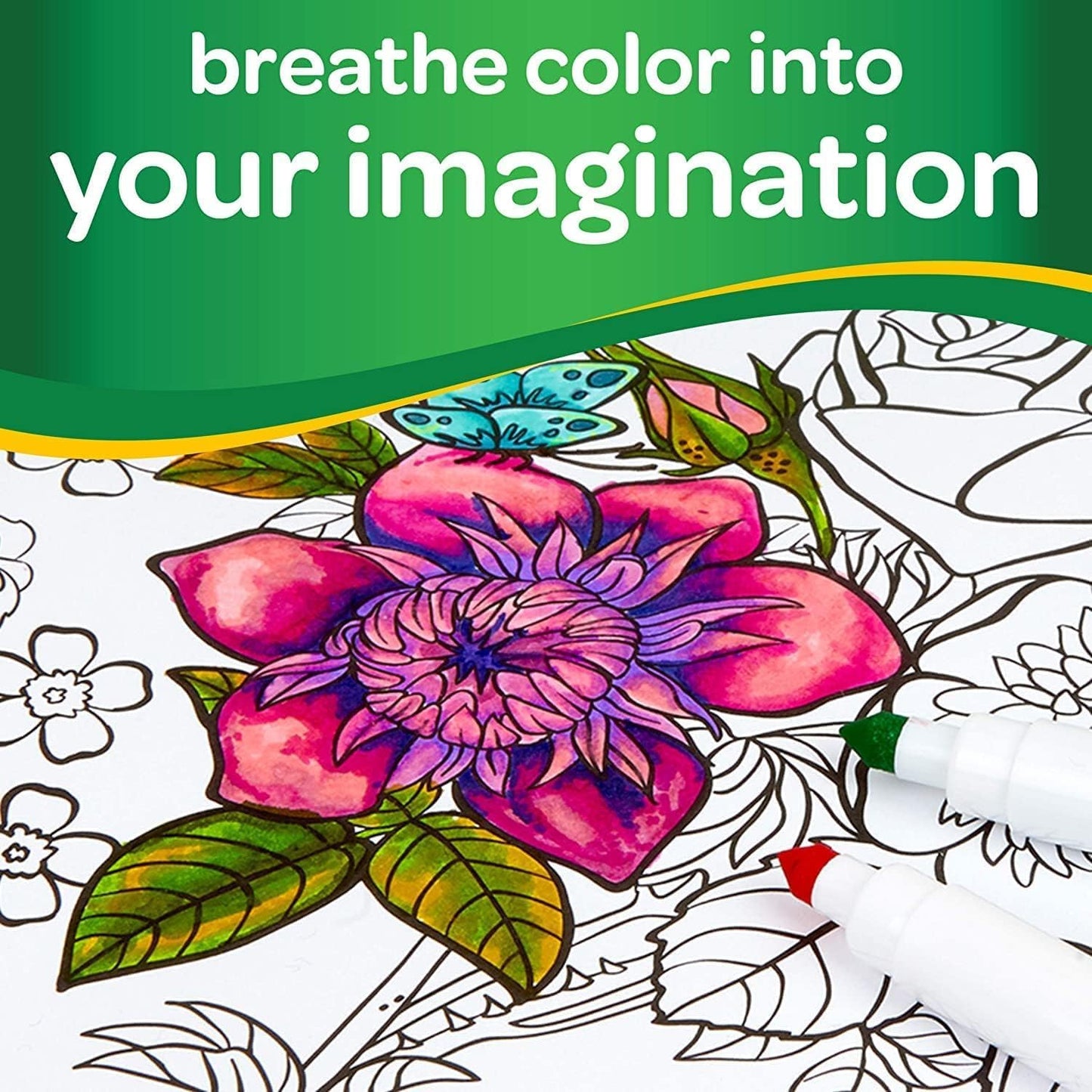 crayola supertips bold and fine colouring pens