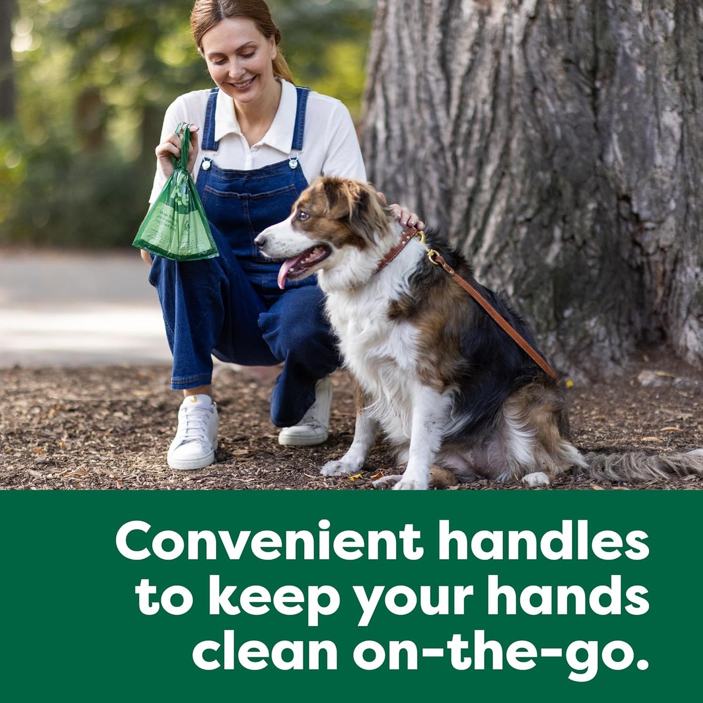 leakproof dog poop bags with handles