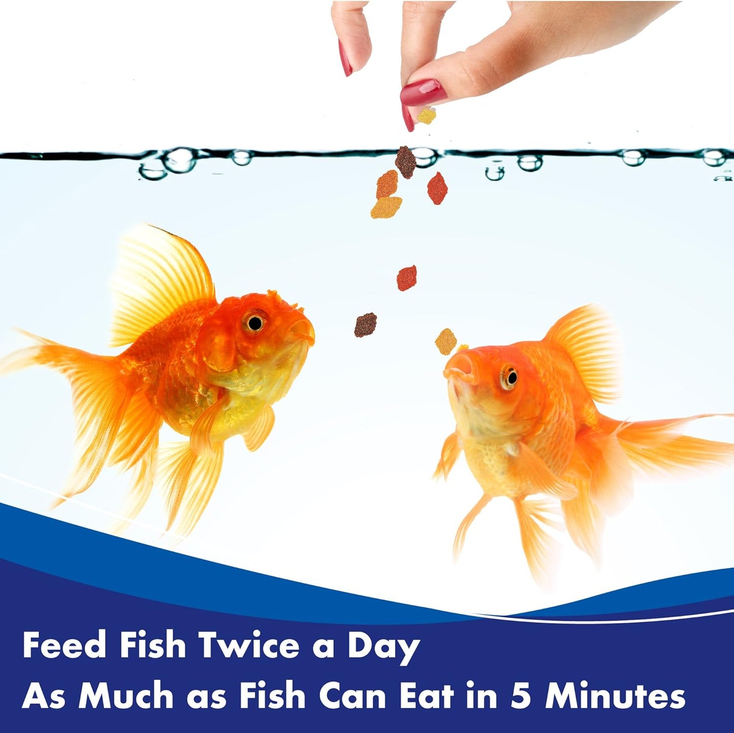 Easy-digest goldfish flakes for small aquariums