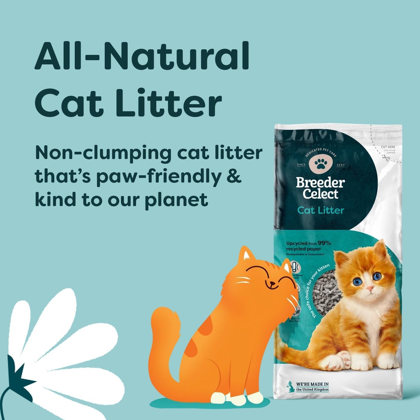 biodegradable cat litter made from paper
