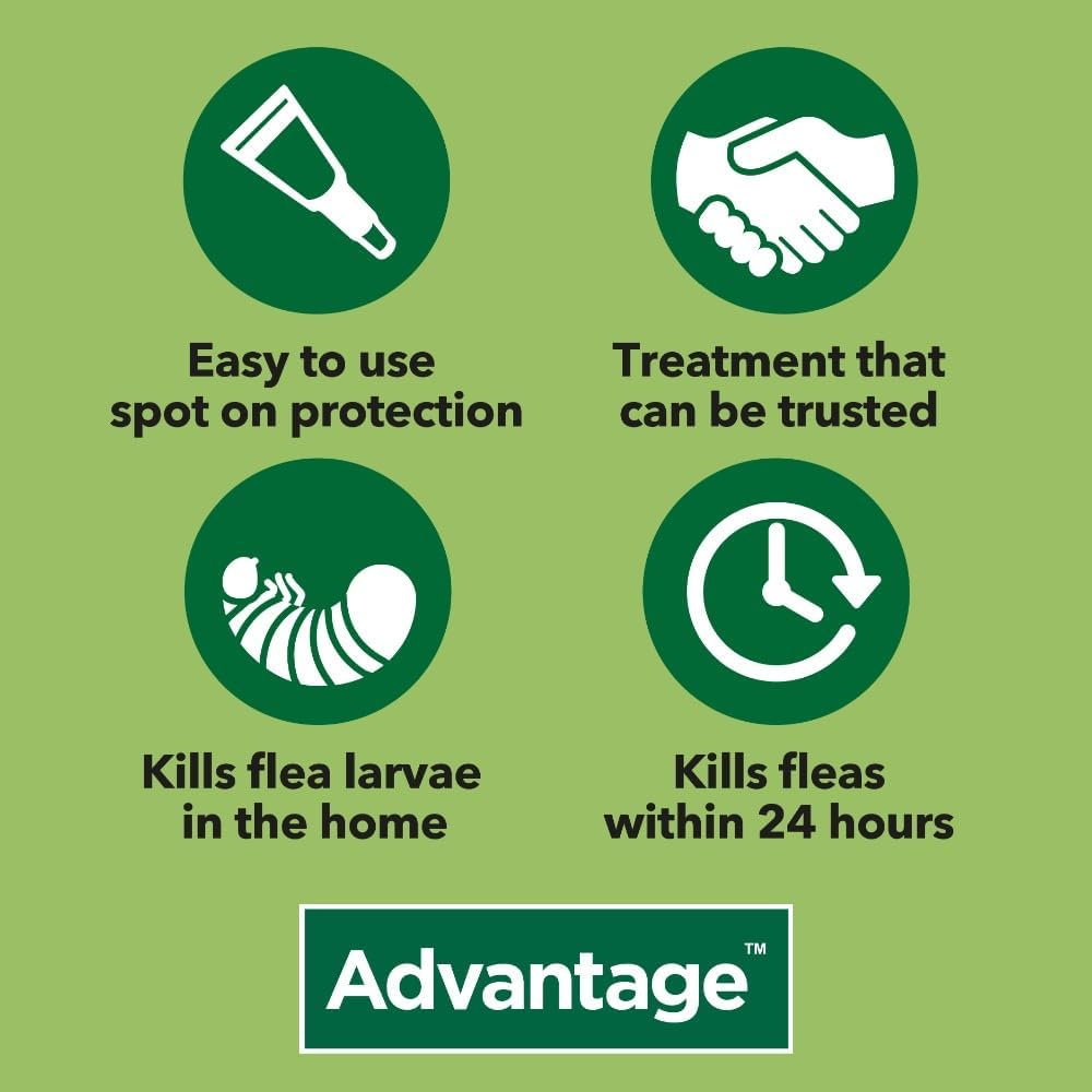 fast acting flea killer for big cats