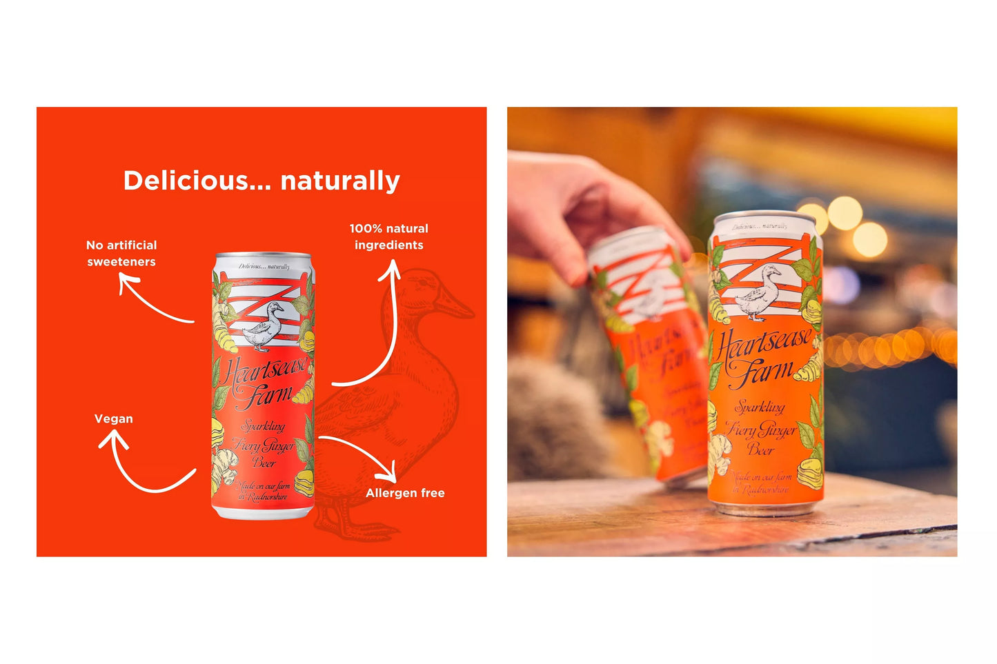 Natural ginger beer beverage