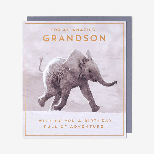 Charming grandson birthday card featuring a cute baby elephant illustration