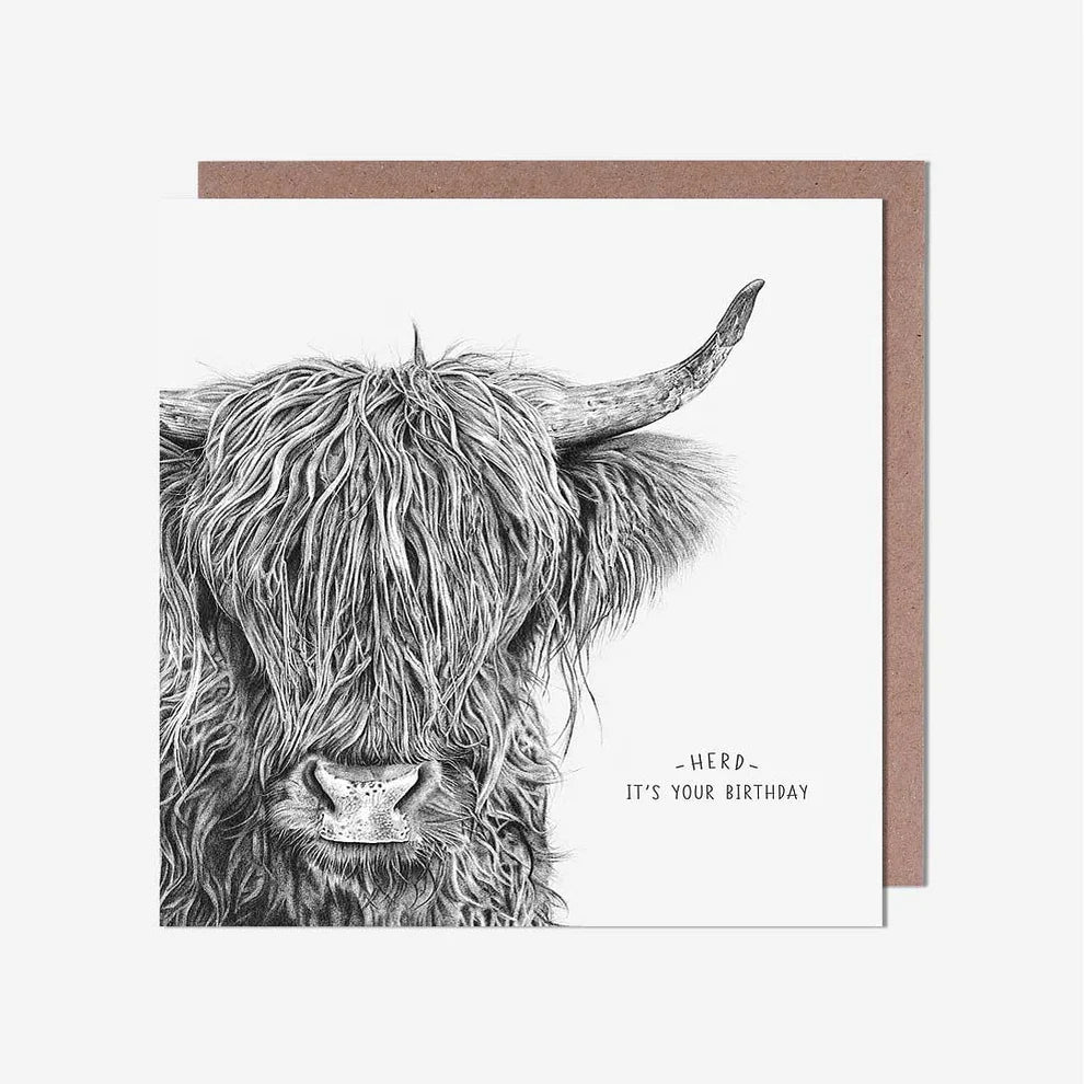 Highland Coo Pencil Drawing Birthday Card, a trend birthday card featured in birthday card greeting cards and popular among greeting cards near me searches.