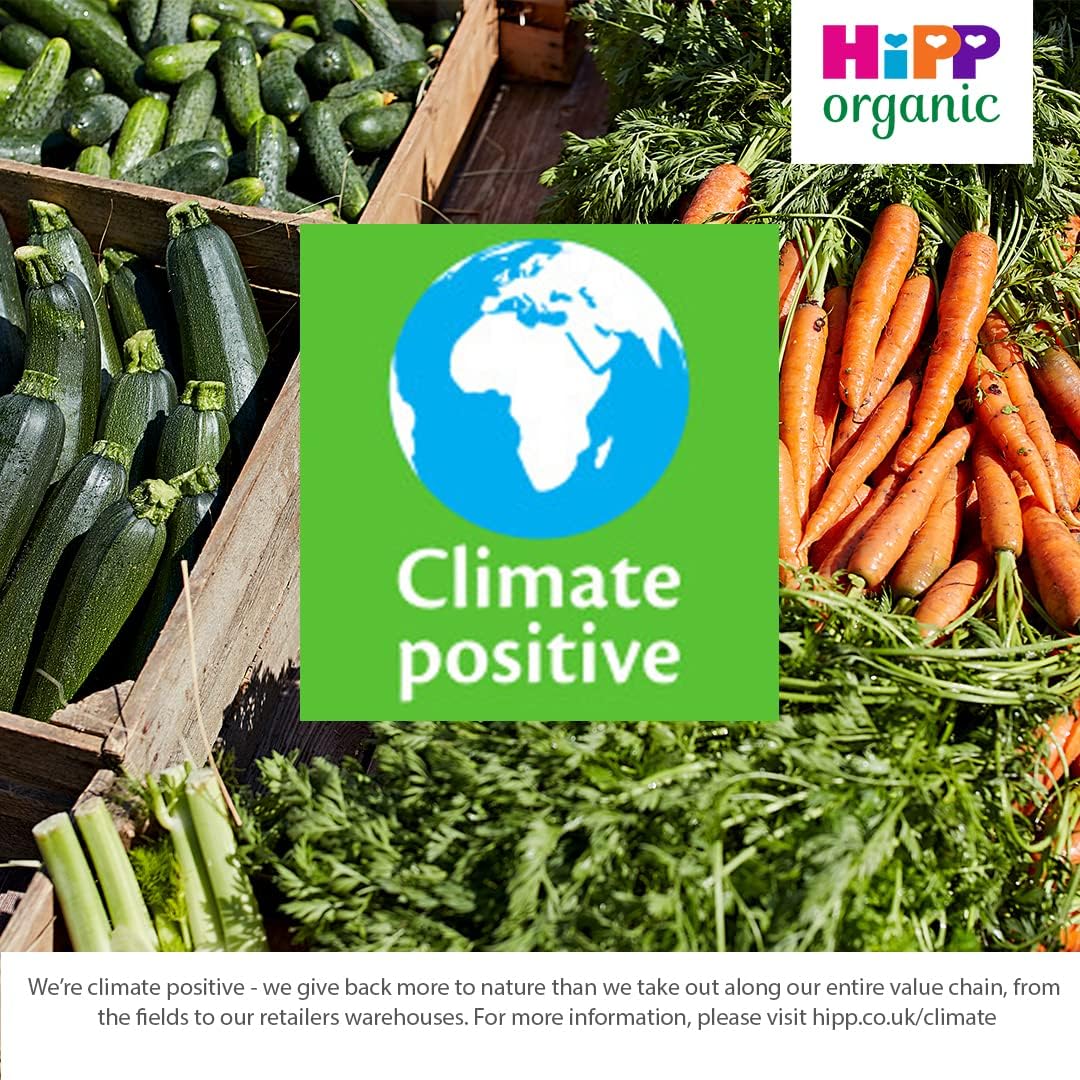 organic dessert for babies hipp 6 pack