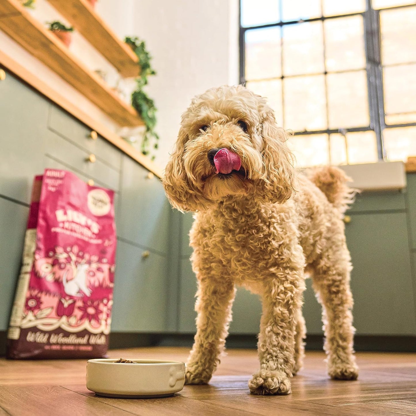 Complete and balanced dry food for adult dogs