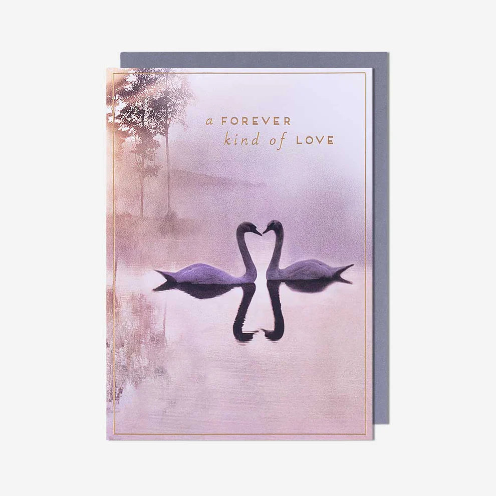 Swans Forever timeless love blank greeting card perfect for romantic occasions and heartfelt messages