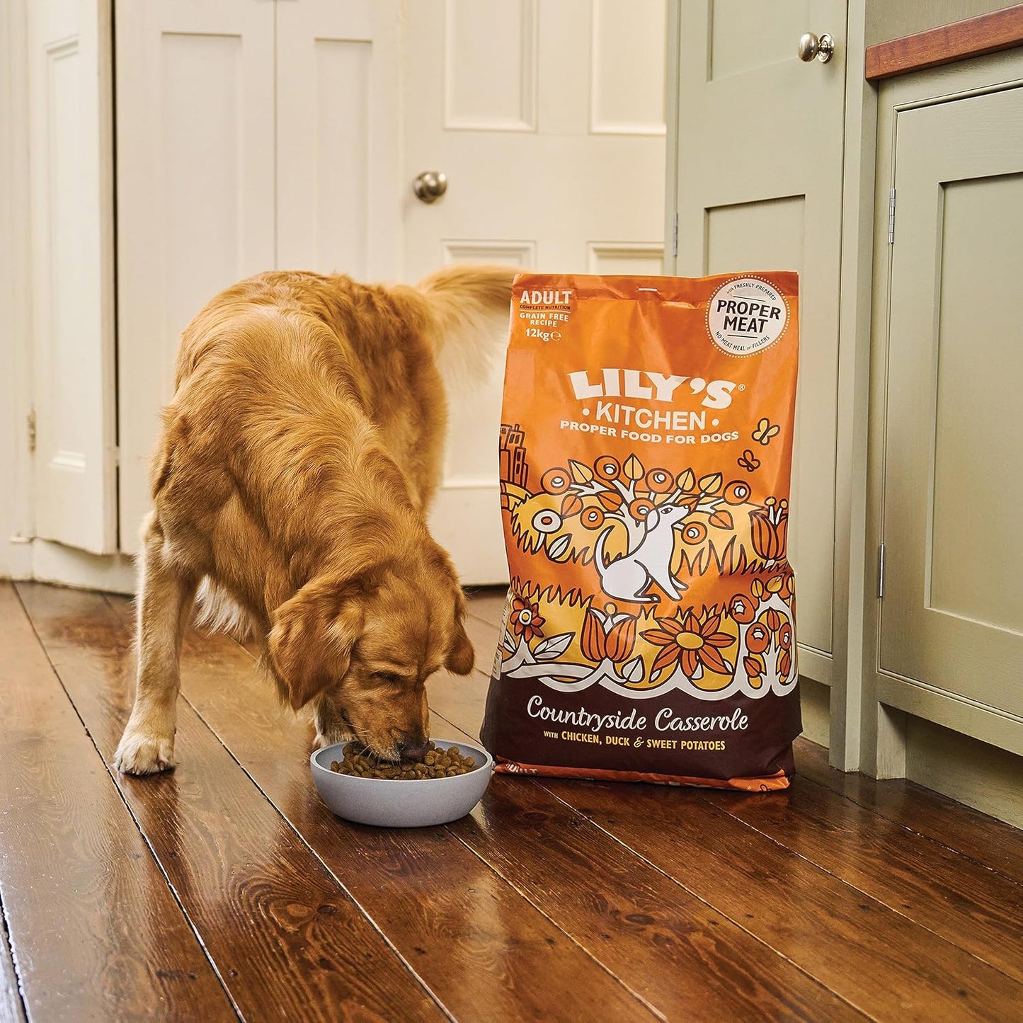 Complete poultry meal for adult dogs from Lily's Kitchen