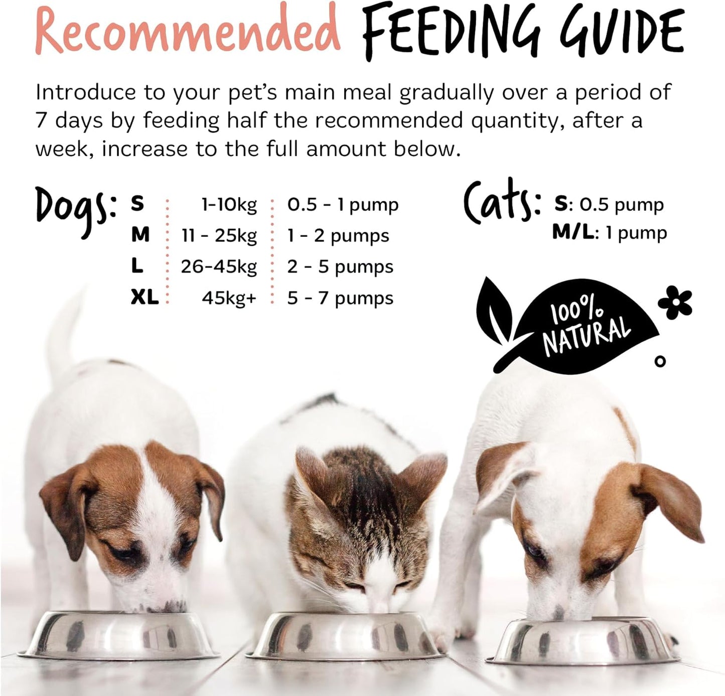 Daily natural salmon oil supplement for pets