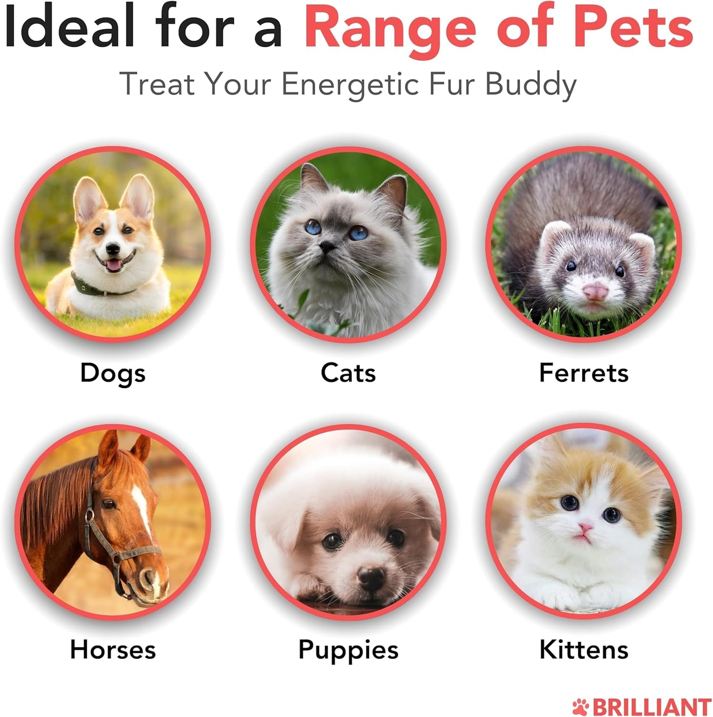 Natural salmon oil supplement for dogs, cats, and pets