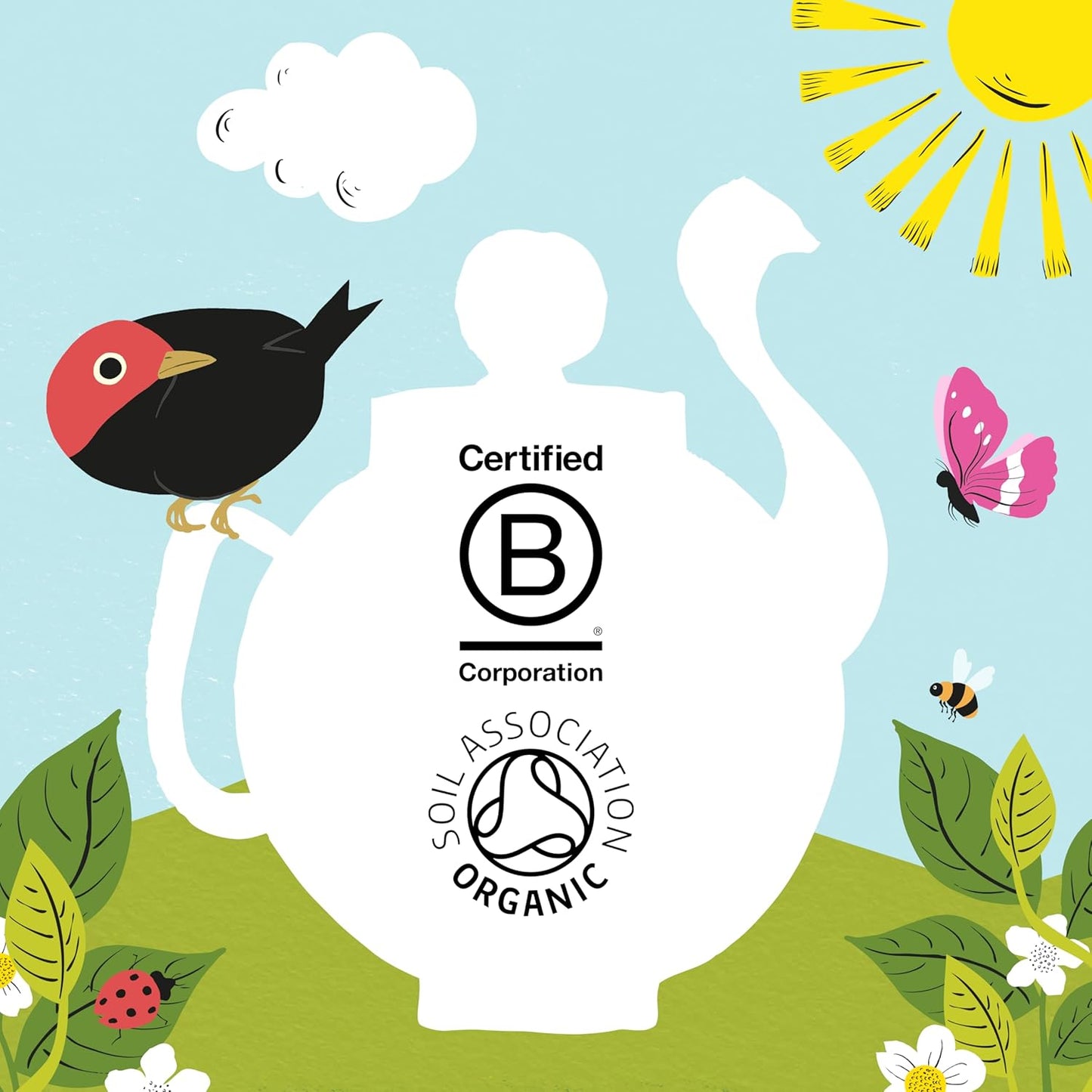 Assorted organic herbal and green tea bags from Clipper
