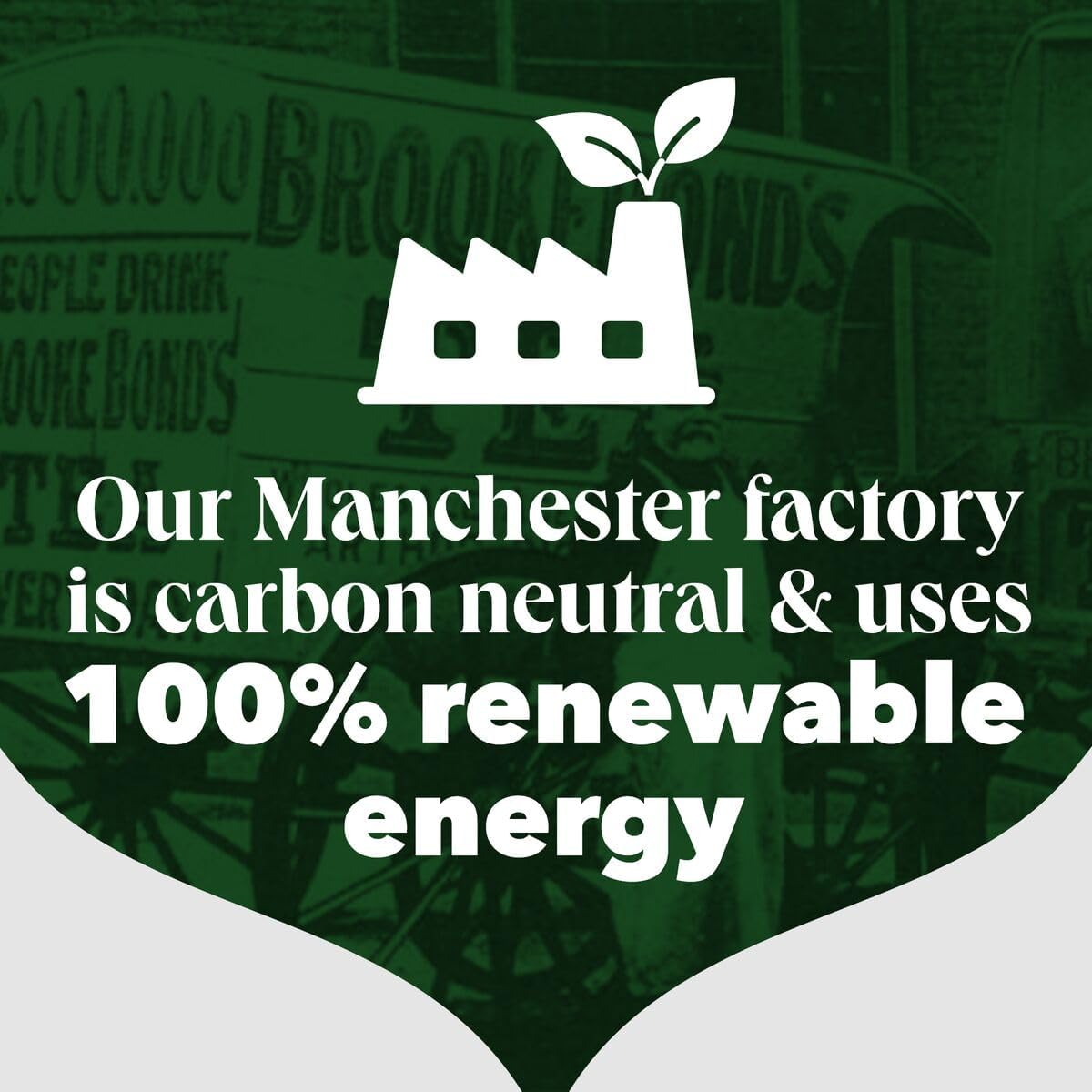 PG Tips 1100 Pack of One Cup Tea Bags for Office Use – Ideal for office tea breaks with perfectly portioned one-cup bags.