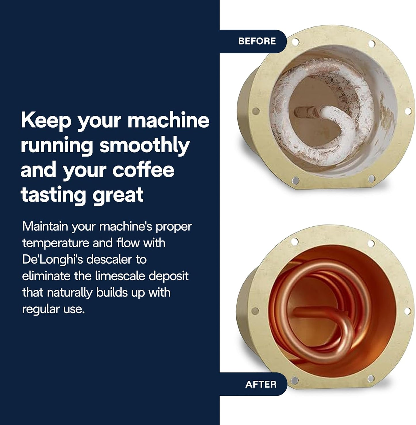 Plant-based coffee descaler solution