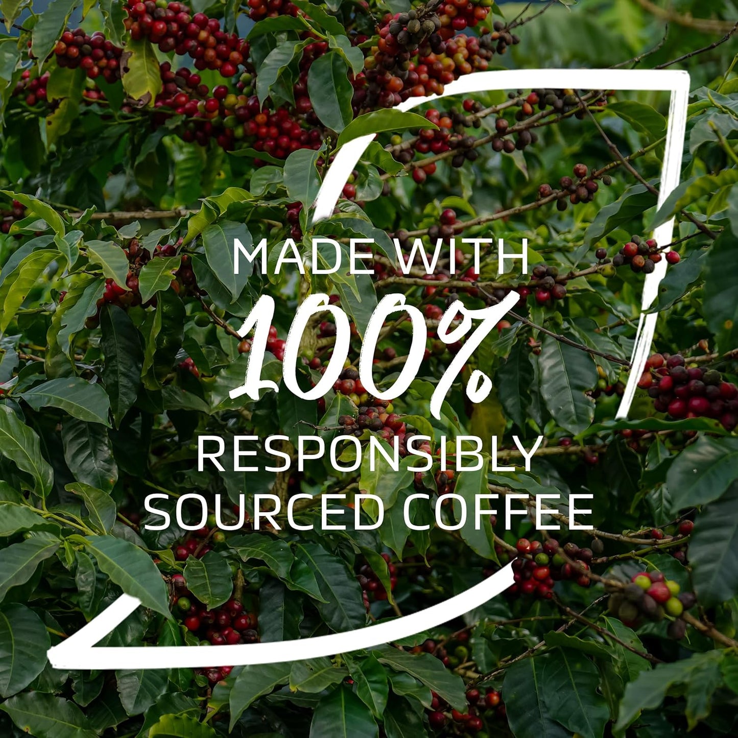 Premium instant coffee tin from NESCAFÉ Gold