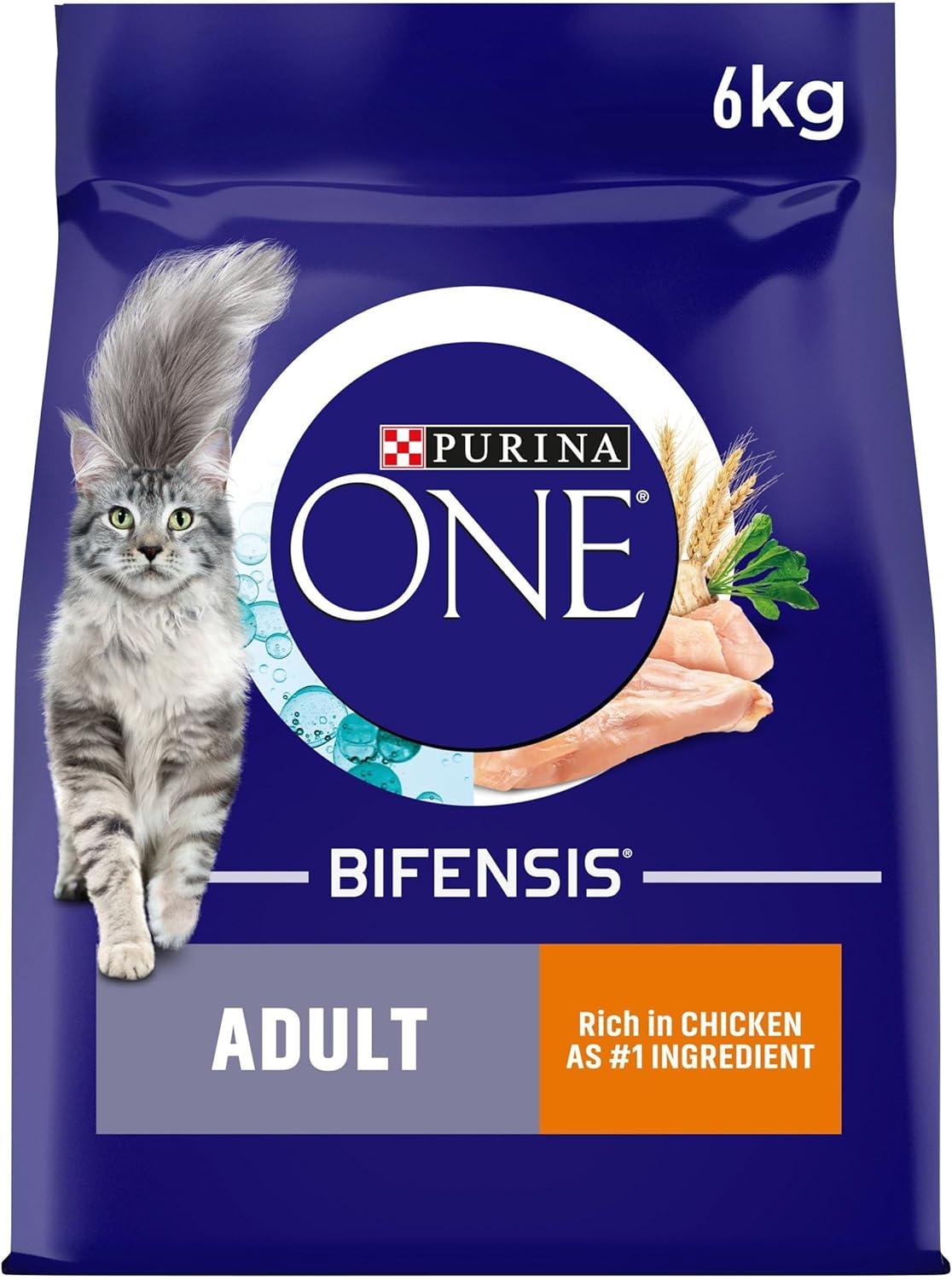 purina one chicken dry cat food 6kg bag