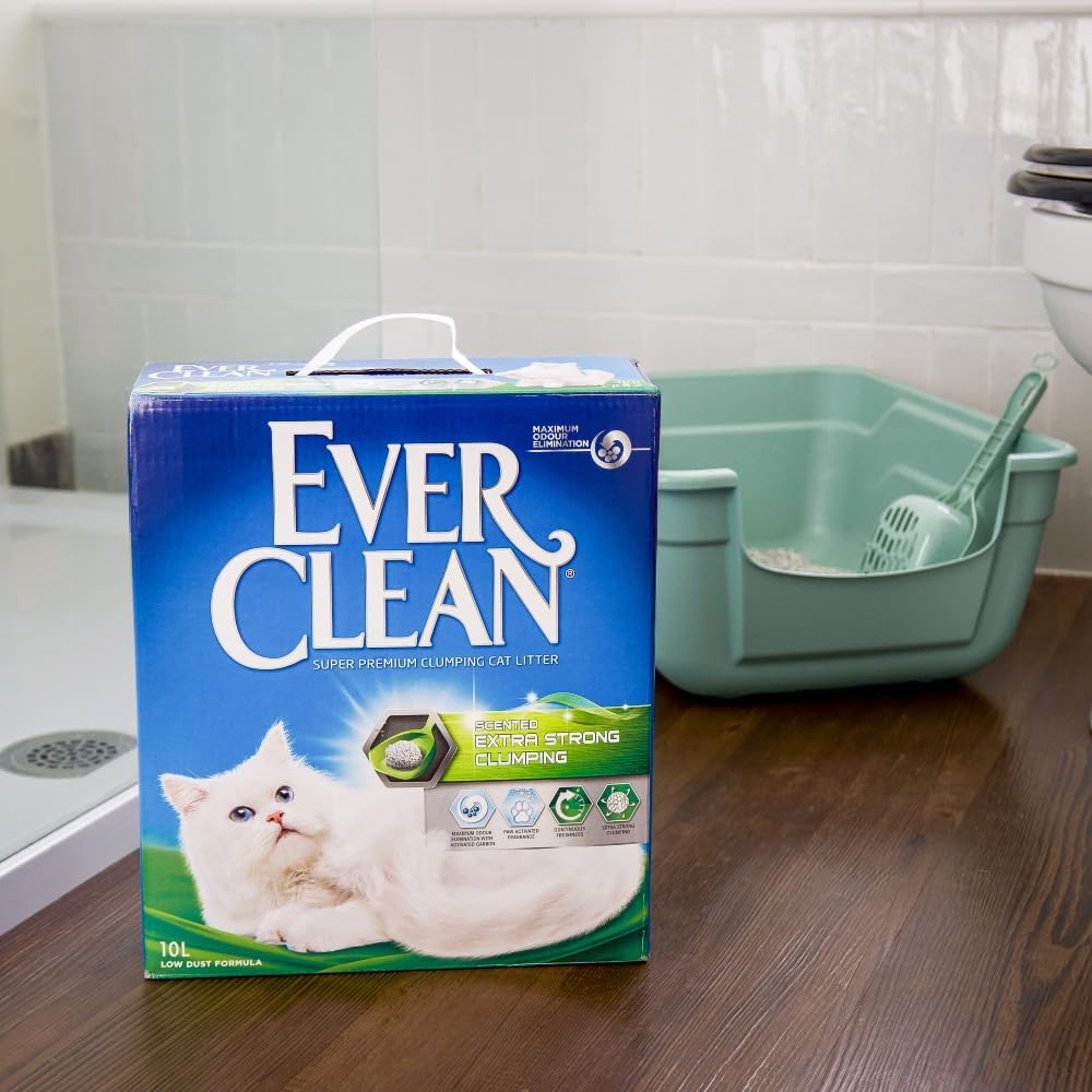ever clean clumping scented litter low dust