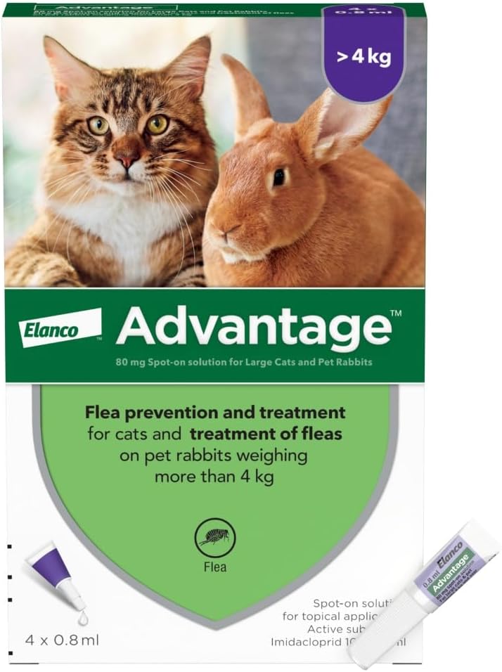 flea spot on for cats over 4kg advantage 80