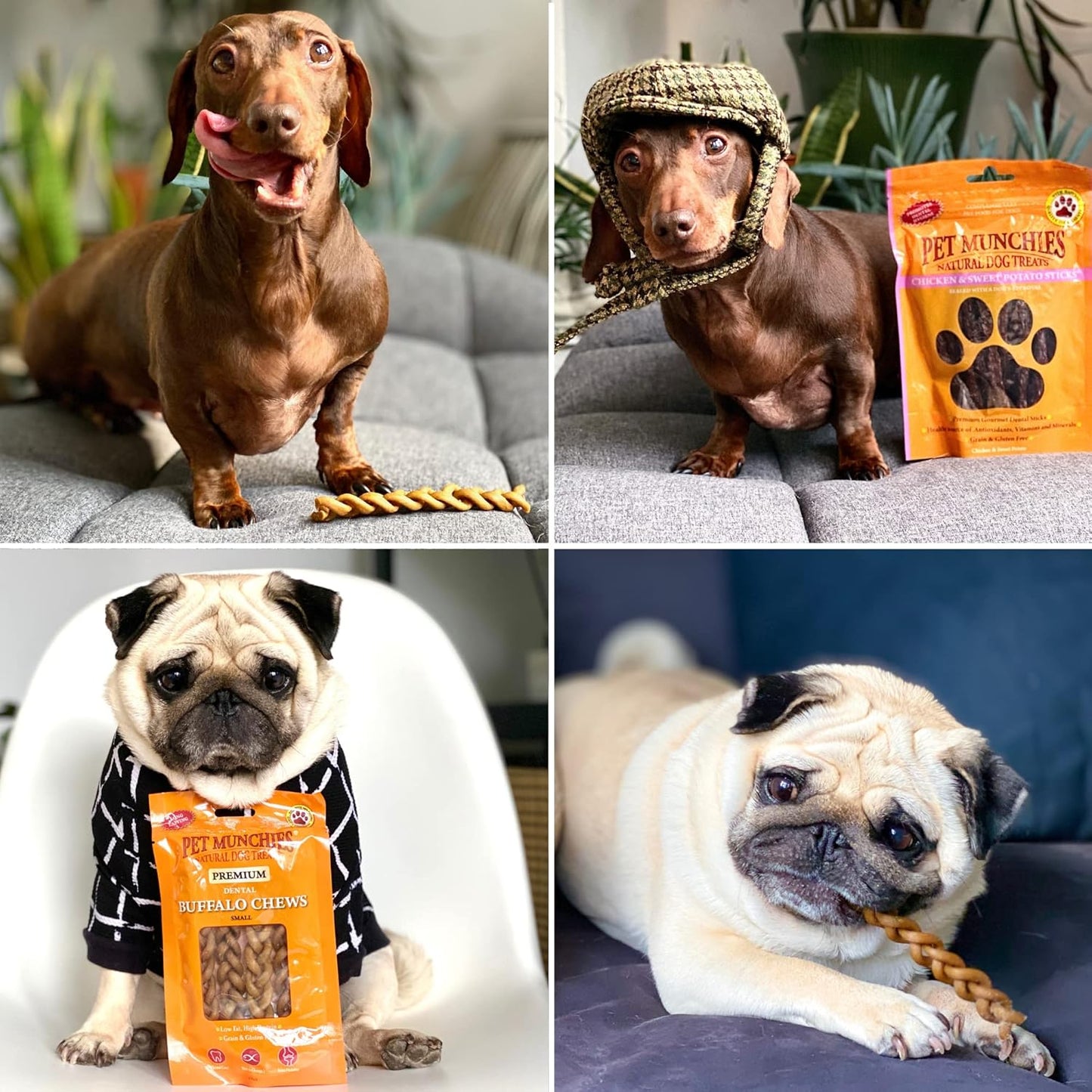 Tasty grain-free treats for dogs 50g pack