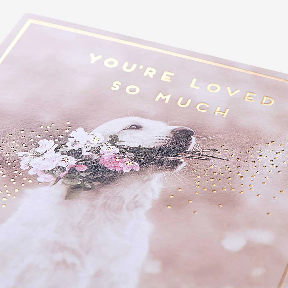 Trend birthday card featuring a lovable dog design with blank card inside, ideal for birthday card greeting cards