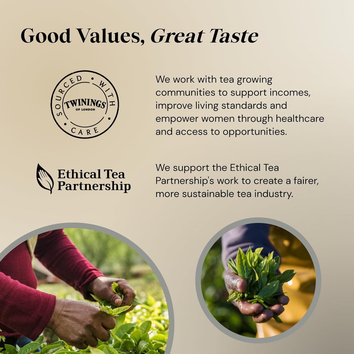 Eco-friendly Twinings tea with biodegradable bags