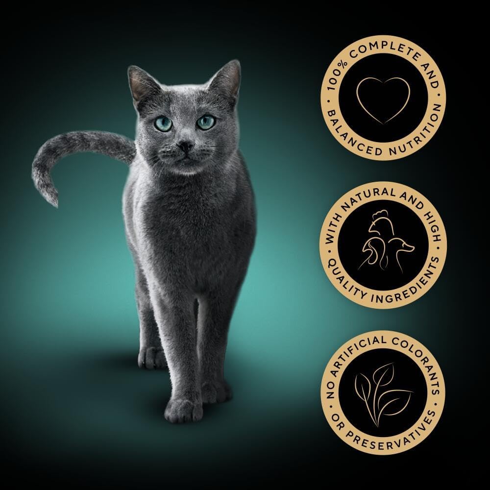 wet cat food in jelly for adult cats sheba brand