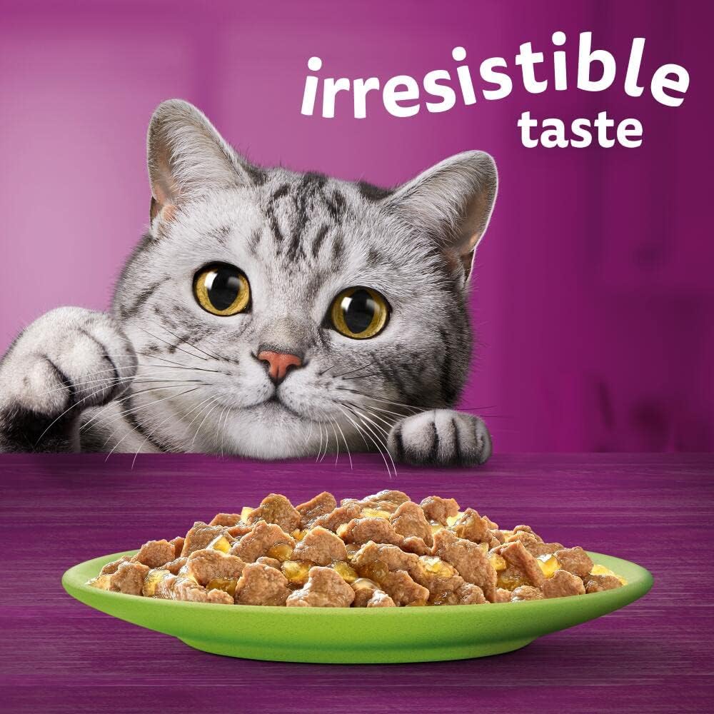 bulk cat food whiskas pouches adult 1 year plus