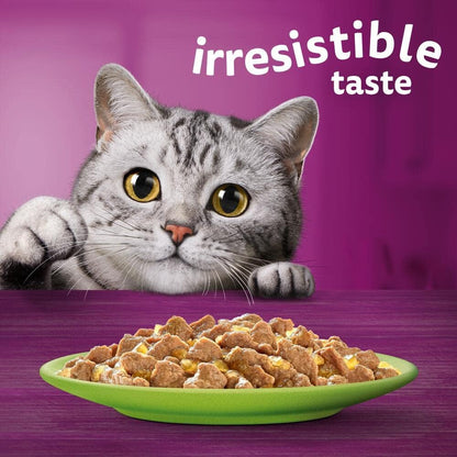 bulk cat food whiskas pouches adult 1 year plus