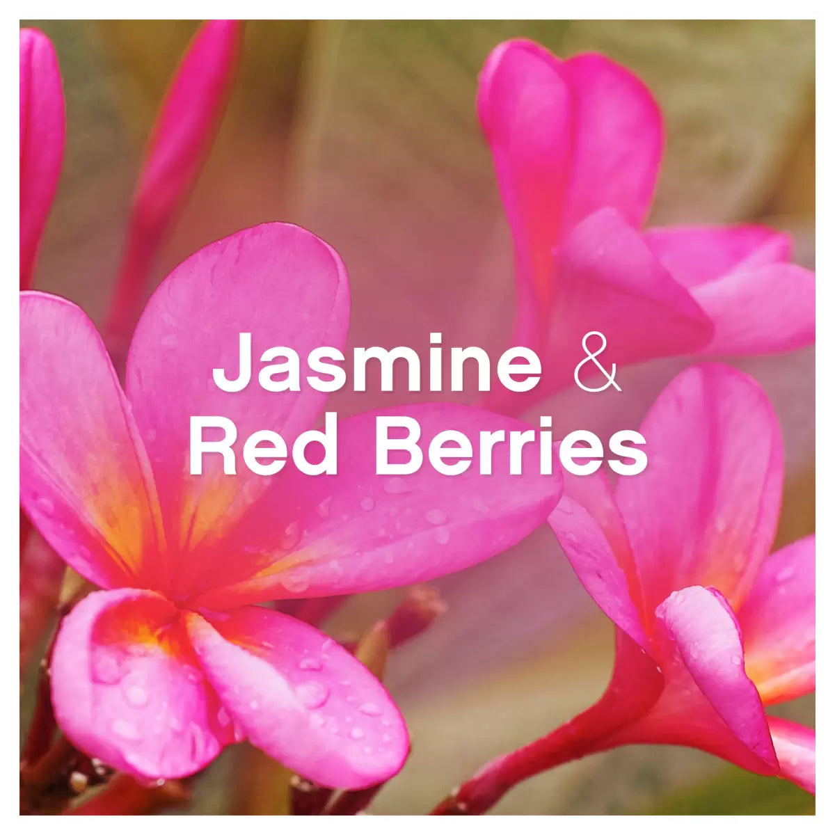 Lenor Wellbeing Collection Jasmine & Red Berries Fabric Conditioner, 3.6L (180 Wash)