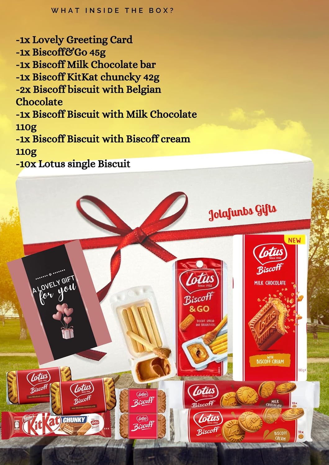 Lotus Biscoff Biscuit Selection Boxes Gift Set Hamper 1