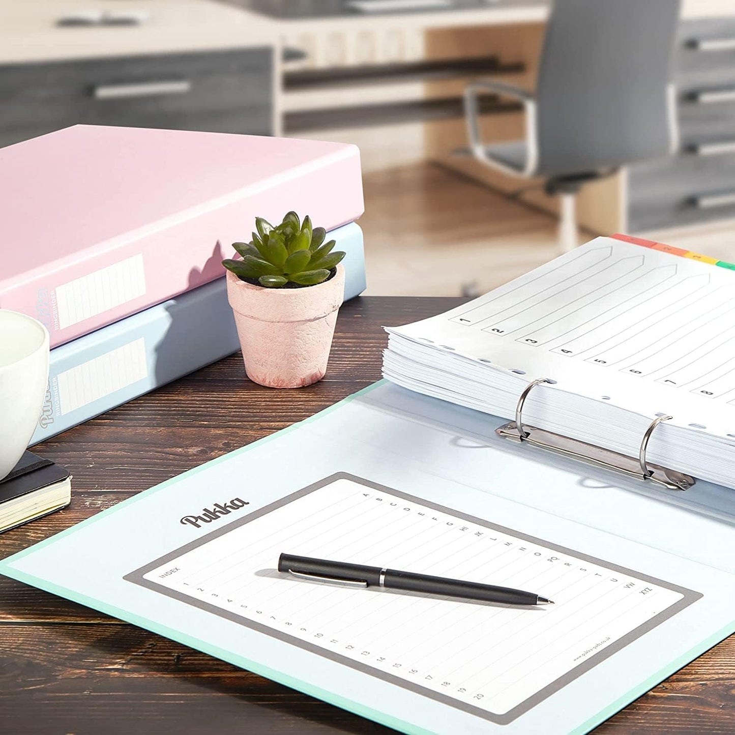 A4-sized pastel folders with strong D-ring mechanism