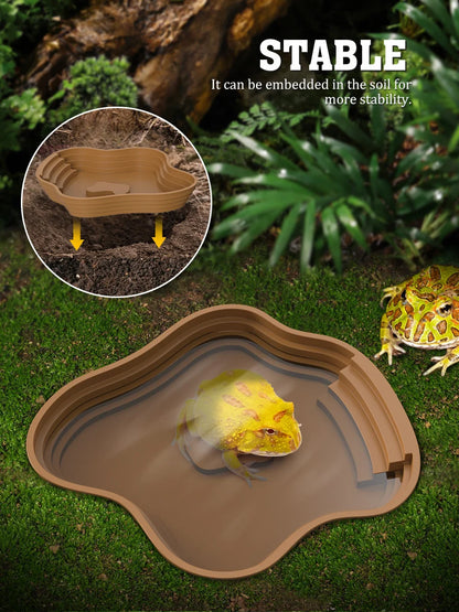 Frog habitat bathing basin and feeder dish