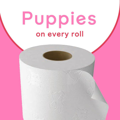Open box of Andrex Family Soft toilet rolls arranged for display