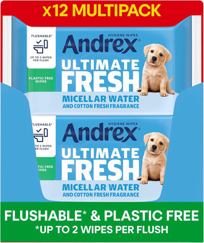 Biodegradable and flushable Andrex toilet wipes with a refreshing clean scent