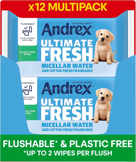 Biodegradable and flushable Andrex toilet wipes with a refreshing clean scent
