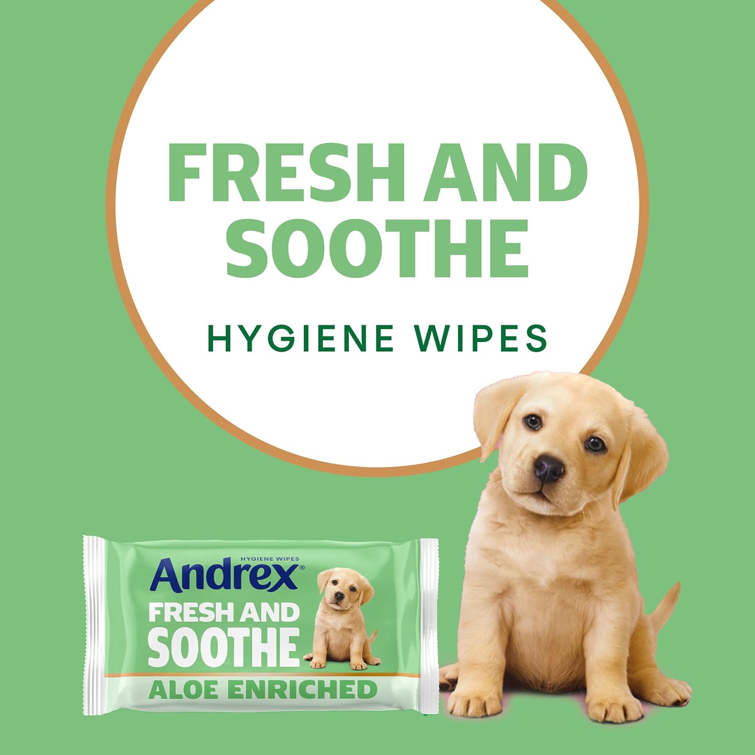Andrex Aloe Vera Toilet Wipes with Prebiotic Lotion - Skin-Kind Hygiene Solution - 12 Packs