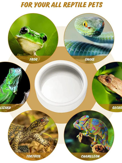 Reptile water dish with inward curved walls