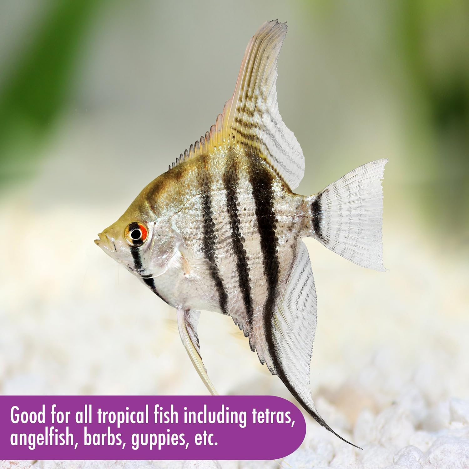 Clean formula aquarium flakes for healthy tropical fish