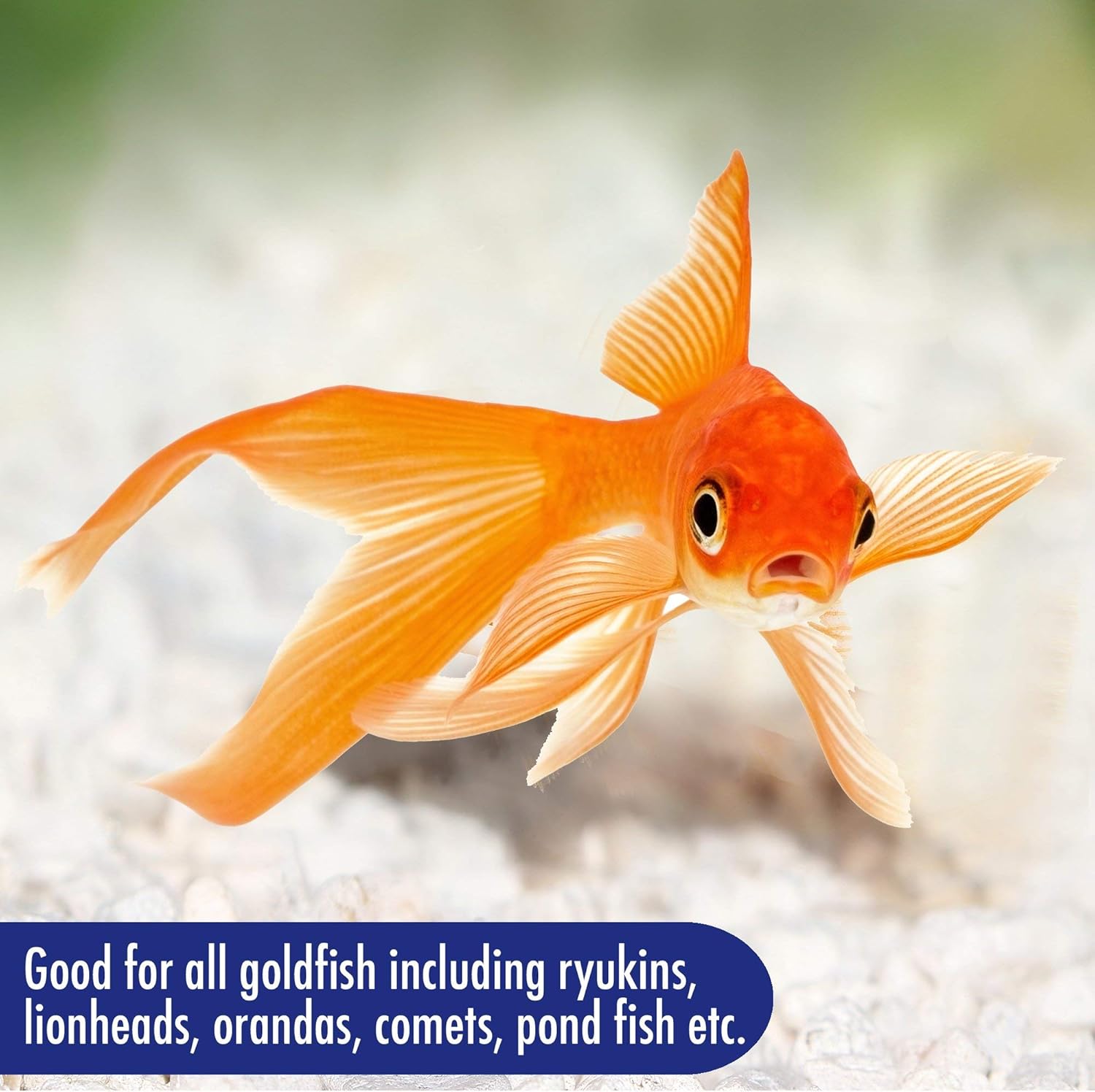 Goldfish flakes with clean water formula by Aquarian