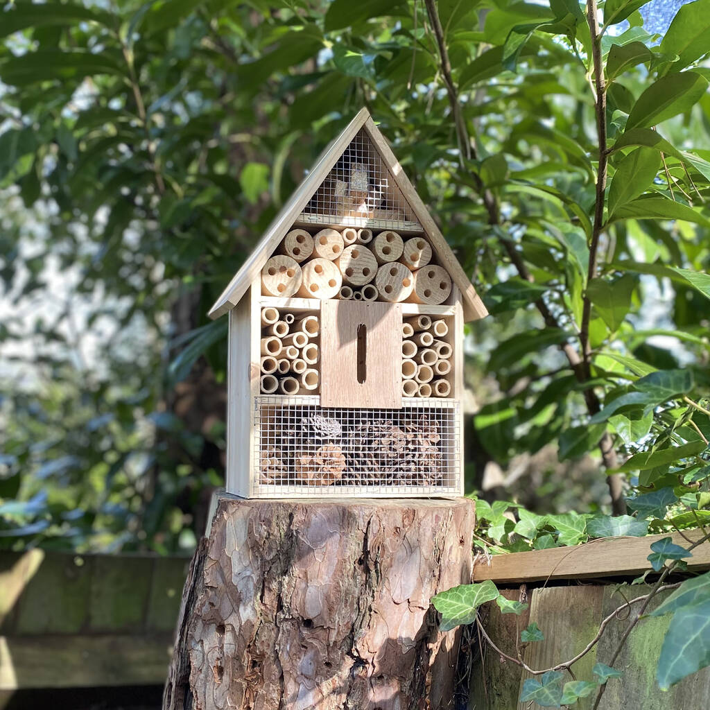 Busy Butterfly Bee Bug Insect Habitat made from natural wood for gardens