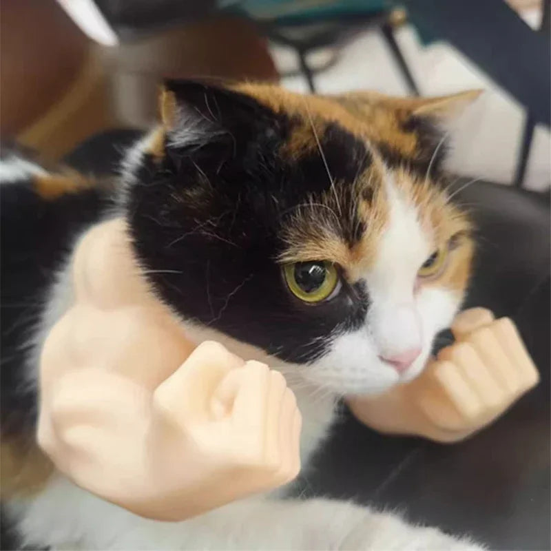 Halloween costume for cats