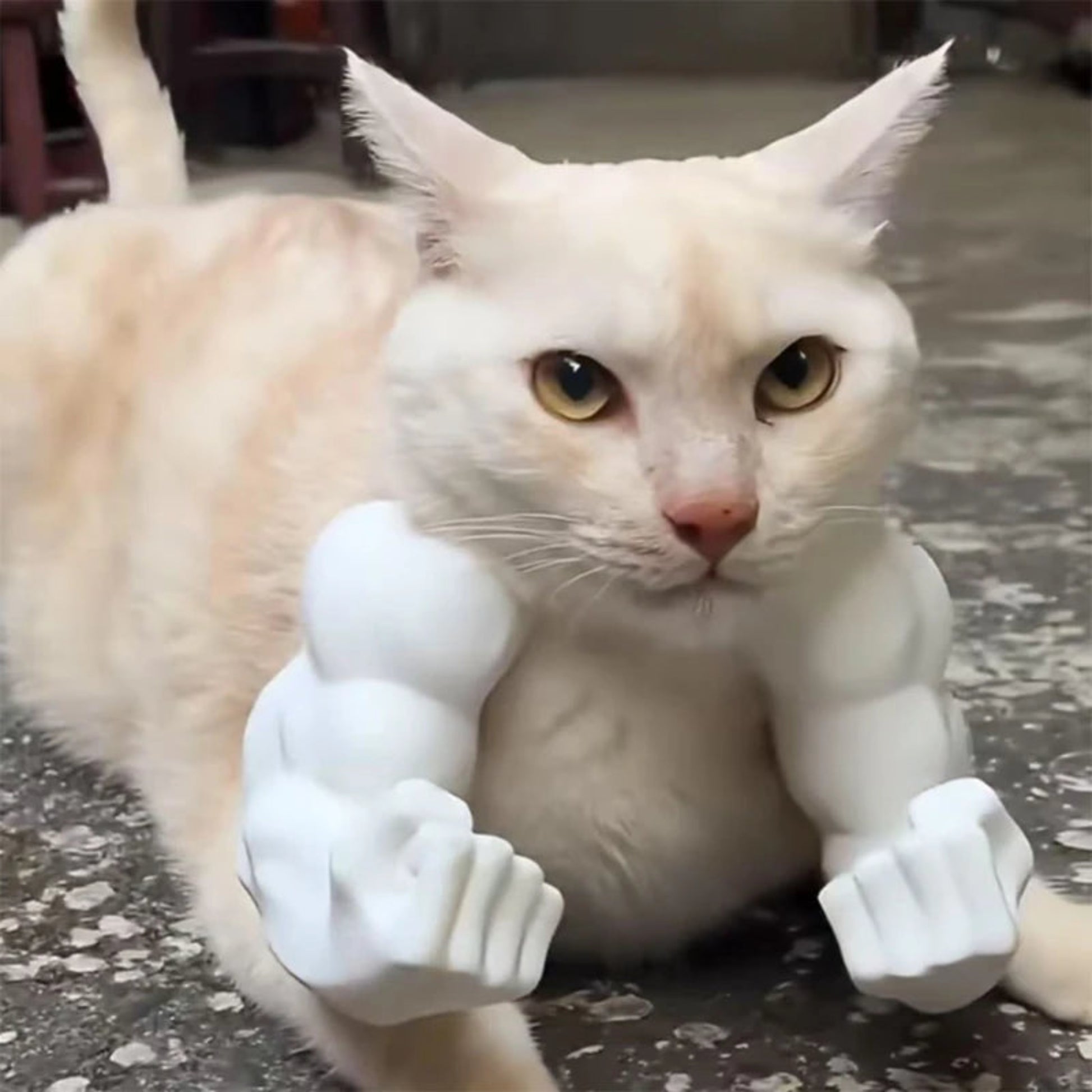 3D Printed Cat Muscle Arm Costume